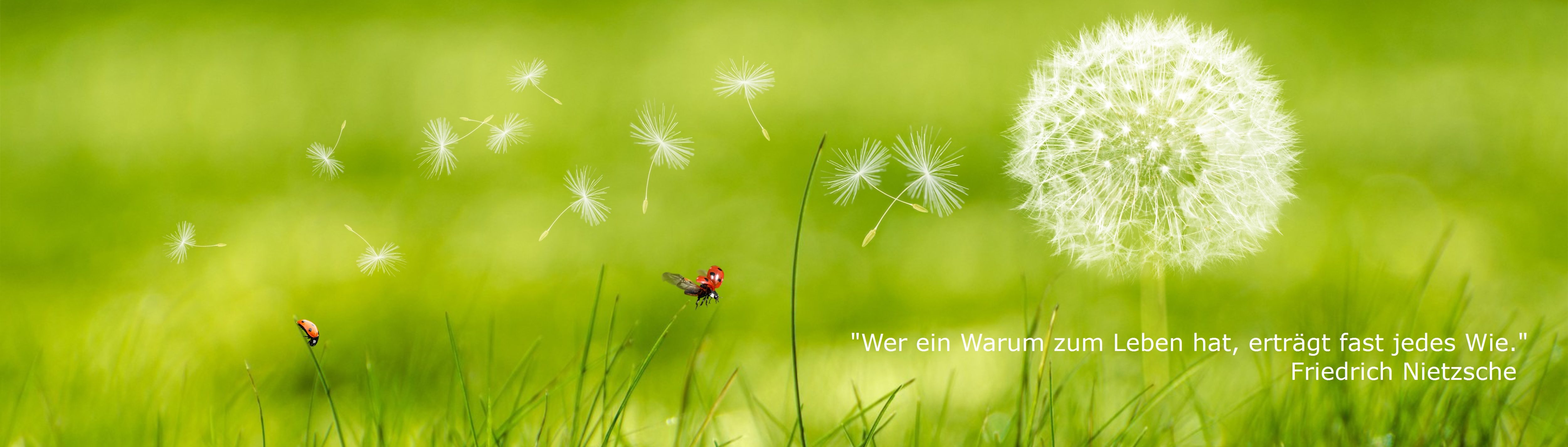 Sinn Coaching Berlin
