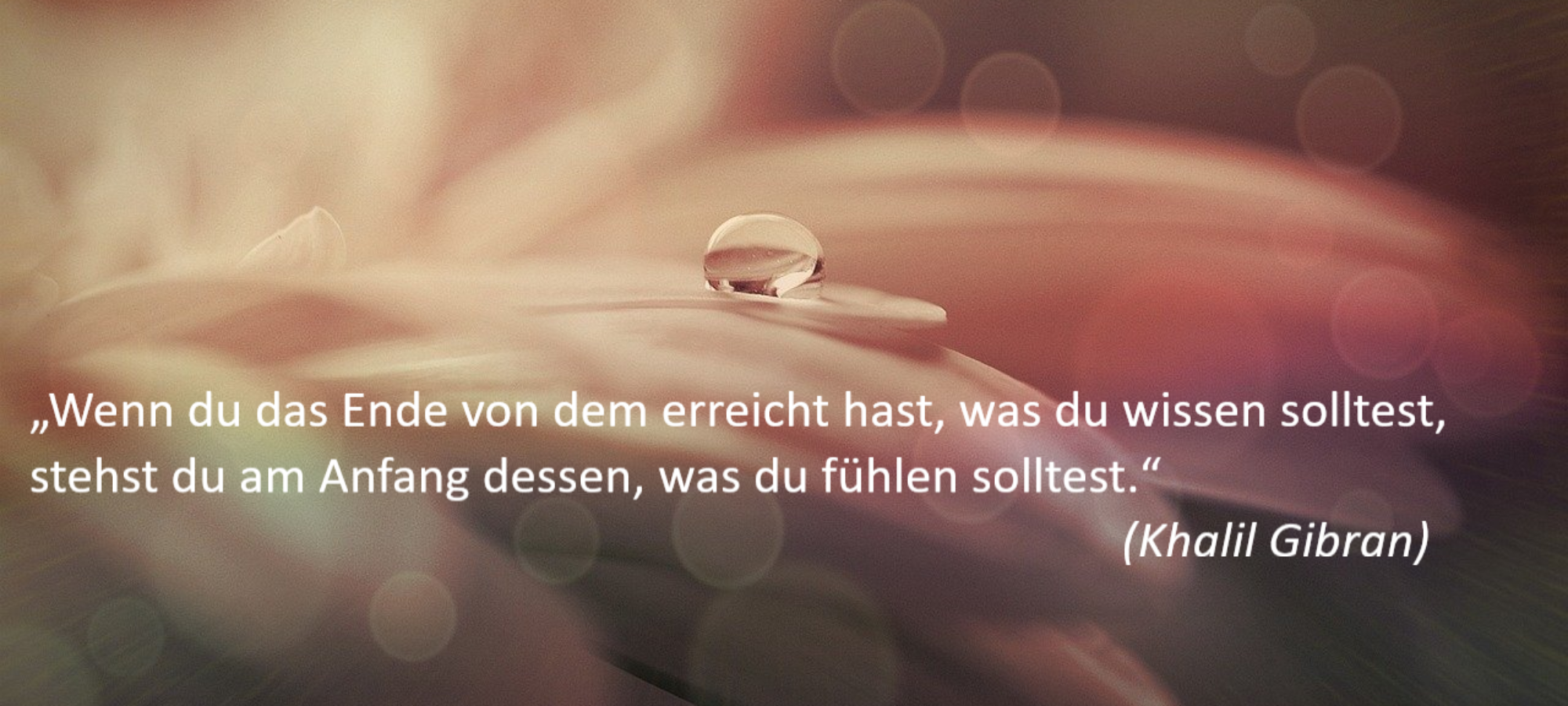 Körperorientierte Psychotherapie Focusing EMDR Ego-State Berlin